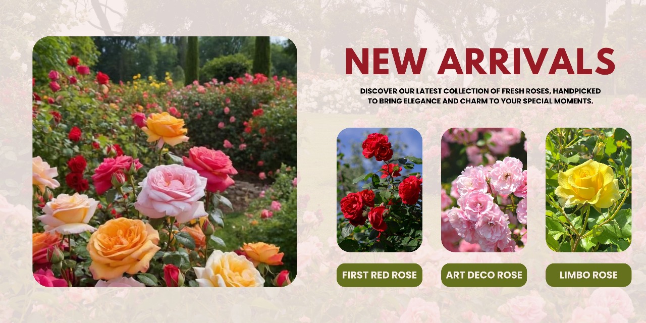 099b1e39-cdf5-442e-9418-48822ffb65b3