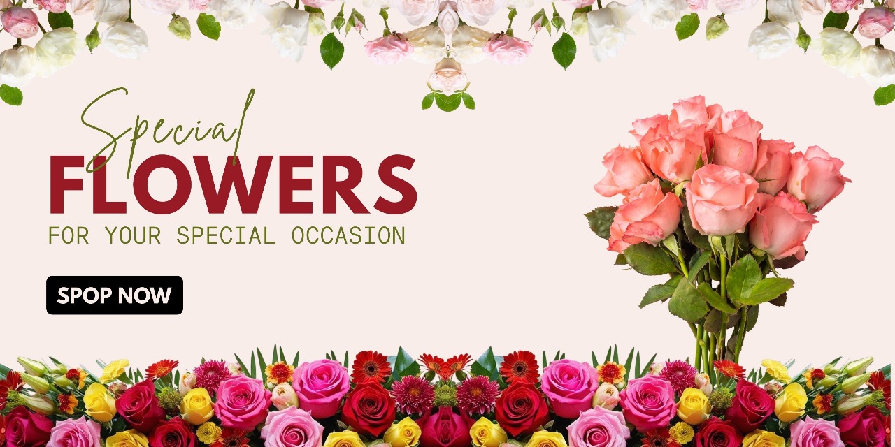 56976af7-8fba-46d3-a94e-b0a2379dcacc